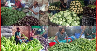 বাজারে আসছে শীতকালীন সবজি, তবুও অস্বস্তিতে ক্রেতা