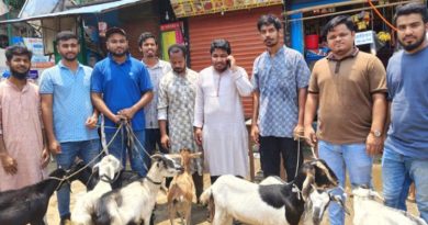 এনসিপি’র কোরবানির পশু উপহার