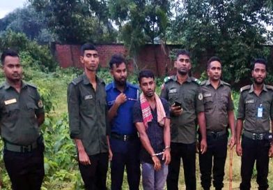 রূপগঞ্জে ঘোড়া জবাইয়ের অভিযোগে আটক এক, ১৫ দিনের কারাদণ্ড