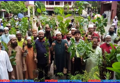 প্রত্যেক নাগরিকের একটি গাছ রোপণ করা উচিত: জব্বার