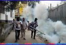 ২০ নং ওয়ার্ডে মাসুদুজ্জামানের মশক নিধন কার্যক্রম সম্পন্ন