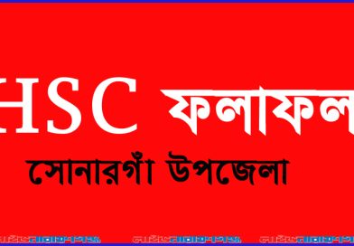 সোনারগাঁয়ে এইচএসসিতে পাসের হার ৩৫.০৪ শতাংশ, জিপিএ-৫ ২০ জন